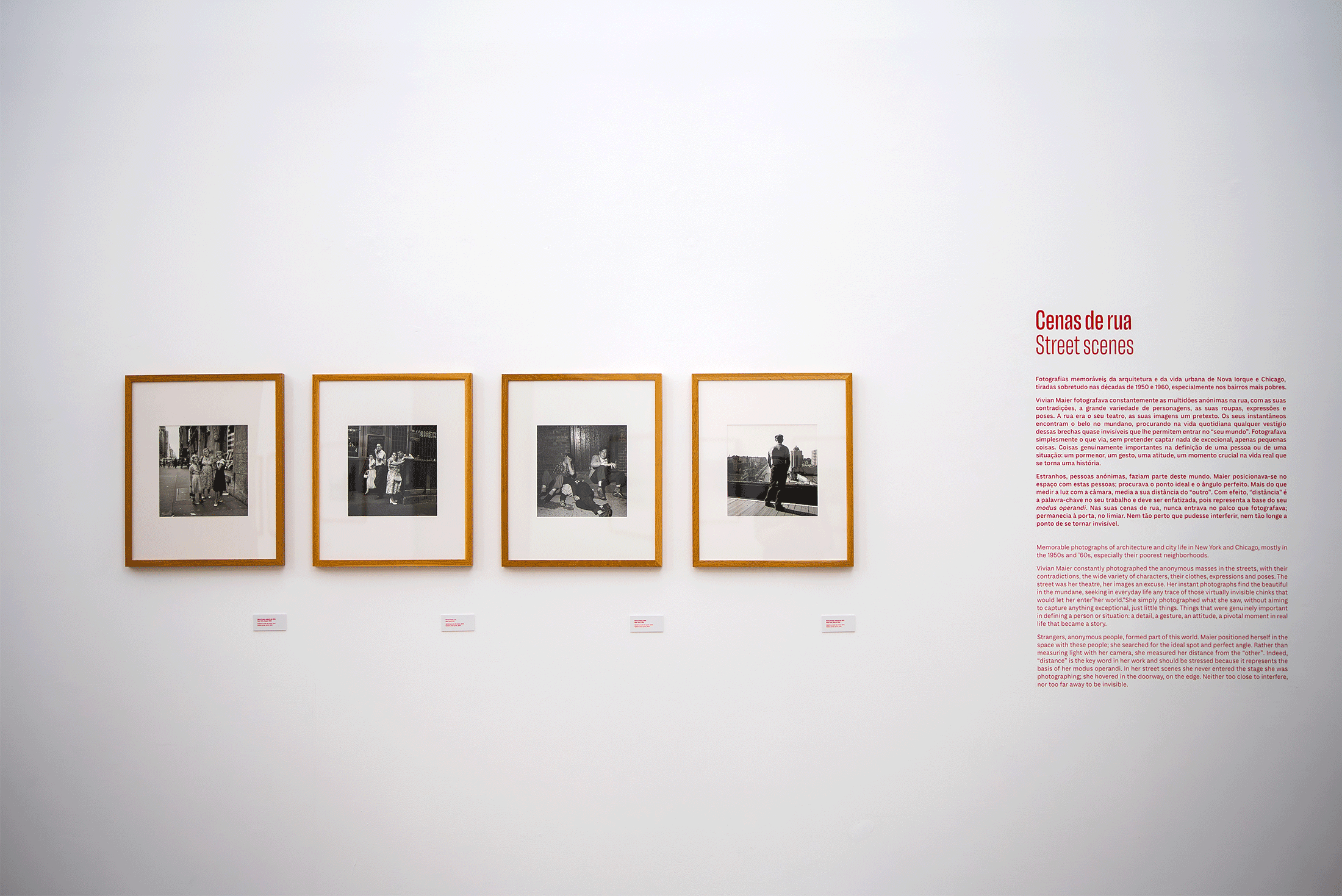 Exhibition layout project